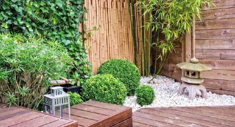JENIS TANAMAN HIAS BERBUNGA EVERGREEN TERBAIK UNTUK HIASI TAMAN RUMAH BUNDA Ada enam jenis tanaman hias berbunga evergreen yang bisa mempercantik taman Bunda. Apa saja jenis-jenis tanamannya? Simak selengkapnya di sini yuk, Bunda.