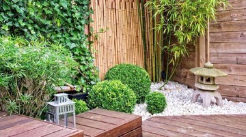 JENIS TANAMAN HIAS BERBUNGA EVERGREEN TERBAIK UNTUK HIASI TAMAN RUMAH BUNDA