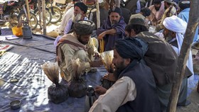 Relasi Kartel Narkoba-Taliban: Beda Ideologi Disatukan Opium