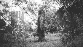 Apa Itu Romusha? Ini Pengertian dan Sejarahnya