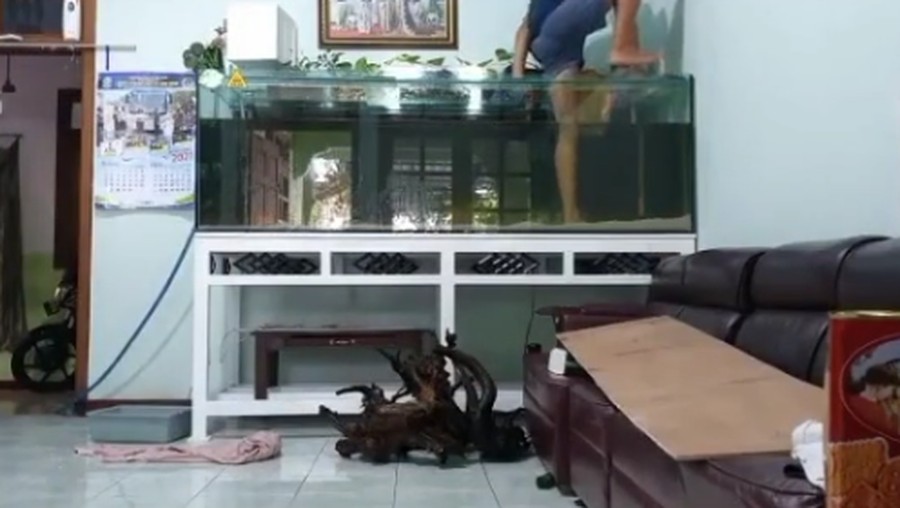 Viral Berenang Viral Berenang