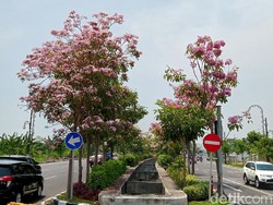 Melihat Surabaya Berasa Negeri Sakura