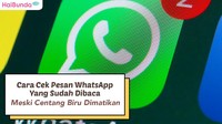 Cara Cek Pesan WhatsApp yang Sudah Dibaca Meski Centang Biru Dimatikan