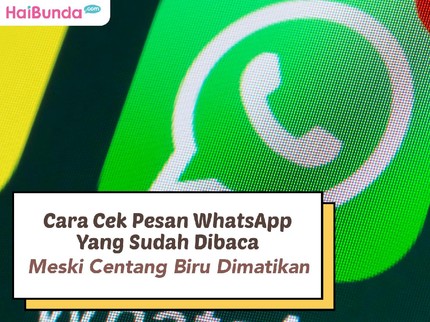 Cara Cek Pesan WhatsApp yang Sudah Dibaca Meski Centang Biru Dimatikan