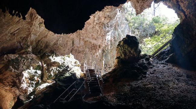 Misteri di Gua Mammoth seakan tak ada habisnya. Tim peneliti menemukan delapan lorong bawah tanah baru di Gua Mammoth, Amerika Serikat.
