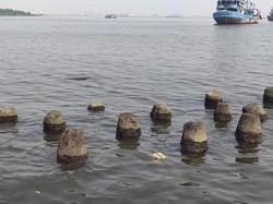 Air Laut di Muara Angke Mengandung Paracetamol, Warga Tak Cium Bau Obat