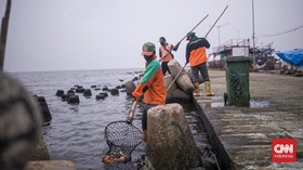 img-title WALHI soal Teluk Jakarta Tercemar Paracetamol: Pemprov Lalai