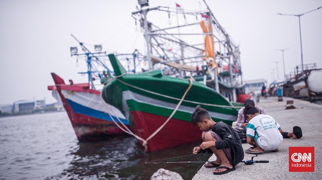 Peneliti BRIN, Zainal Arifin, menyatakan pencemaran paracetamol bisa berdampak buruk terhadap populasi kerang di Teluk Jakarta.