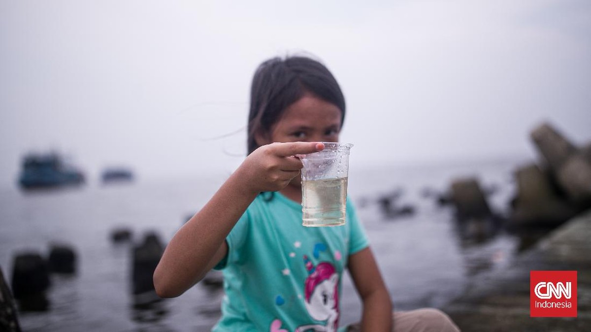 FOTO: Menepi di Muara Angke yang Tercemar Paracetamol