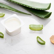 Kamu Udah Cobain Belum? Berikut 4 Rekomendasi Skincare Aloe Vera Terbaik untuk Atasi Banyak Masalah Wajah dan Tubuh!