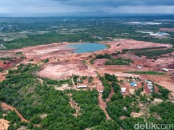 Lahan Bekas Tambang Timah Ditanami Cabai, Bisa Tumbuh?