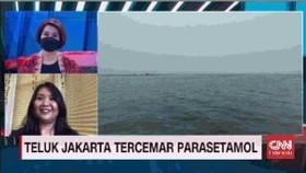 VIDEO: Teluk Jakarta Tercemar Parasetamol