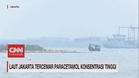 VIDEO: Laut Jakarta Tercemar Paracetamol Konsentrasi Tinggi