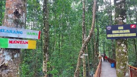 Peringatan 'Dilarang Bawa Mantan' di Mangrove Mimika