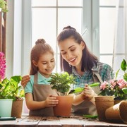 Di Balik Cantiknya, 6 Jenis Tanaman Hias Ini Justru Simpan Racun Berbahaya!