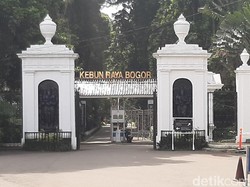 Kebun Raya Bogor, dari Zaman Pajajaran Sampai Ingin Diajukan Status UNESCO