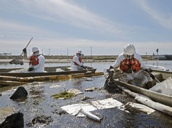 Tumpahan Minyak di Perairan California Meluas