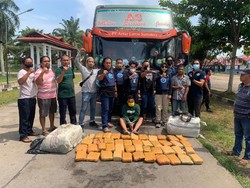 BNN Jambi Gagalkan Penyelundupan 45 Kg Ganja Kering dari Aceh