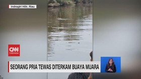 VIDEO: Buaya Ancam Keselamatan Warga