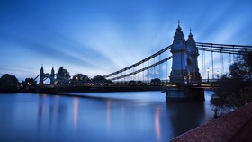 Hiu Beracun Ditemukan di Sungai Thames London