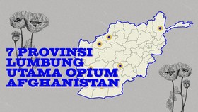 INFOGRAFIS: 7 Provinsi Lumbung Utama Opium Afghanistan