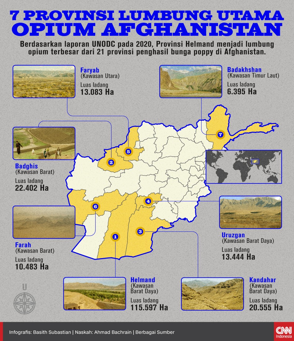 Berdasarkan laporan UNODC pada 2020, Provinsi Helmand menjadi lumbung opium terbesar dari 21 provinsi penghasil bunga poppy di Afghanistan.