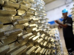 Tingkatkan Cadangan Timah, TINS Kembali Aktif Eksplorasi
