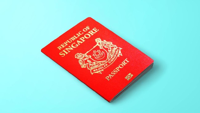 Format penulisan nama pada paspor Malaysia dan Singapura menimbulkan tantangan unik dalam sistem komputer maskapai penerbangan dan aplikasi online.
