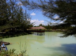 Lahan Bekas Tambang di Babel Disulap Jadi Tempat Konservasi-Wisata