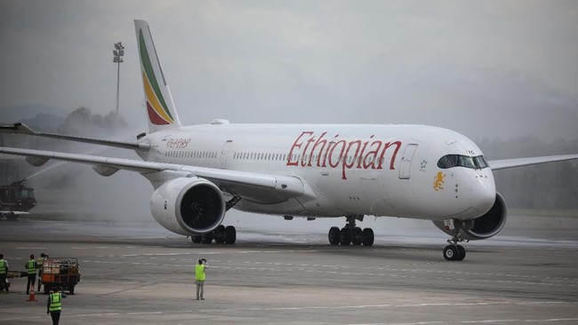 Pemerintah Ethiopia diklaim menggunakan pesawat komersial atau penumpang di negara itu untuk mengangkut senjata di wilayah Tigray.