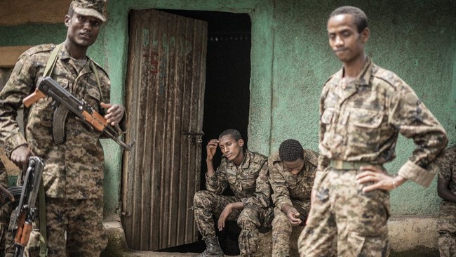 Pemerintah Ethiopia diklaim menggunakan pesawat komersial atau penumpang di negara itu untuk mengangkut senjata di wilayah Tigray.