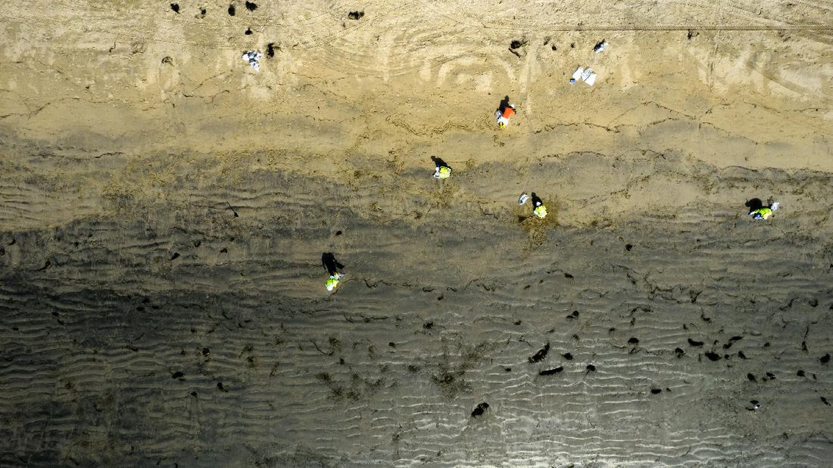 FOTO: Operasi Kuras Tumpahan Minyak di Pantai California