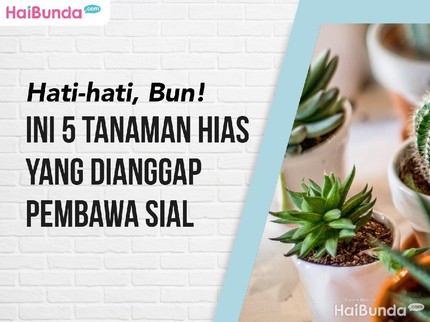 Hati-hati, Bun! Ini 5 Tanaman Hias yang Dianggap Pembawa Sial