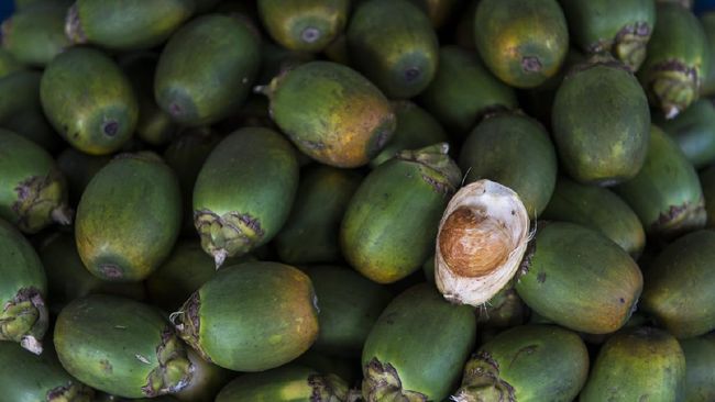 Pemerintah China melarang iklan buah pinang karena dikaitkan dengan kanker mulut. Sejumlah studi menunjukkan pinang memicu kanker mulut.