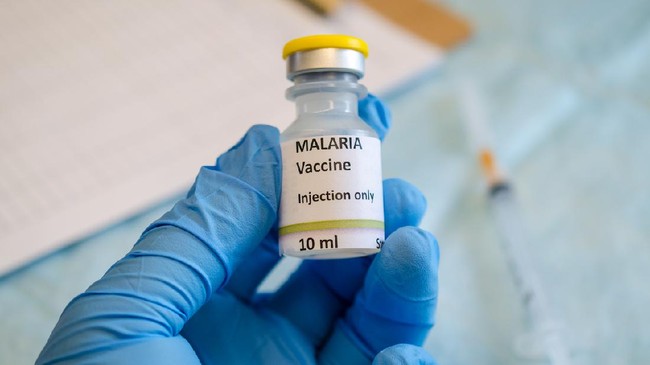 Di tahun ini, peringatan Hari Malaria Sedunia mengambil tema mempercepat perjuangan melawan malaria dengan memberikan akses pencegahan dan pengobatan merata.