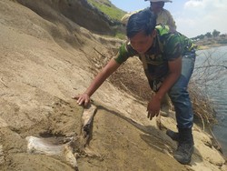 Heboh Fosil di Waduk Saguling, Begini Hasil Penelitian Tim ITB