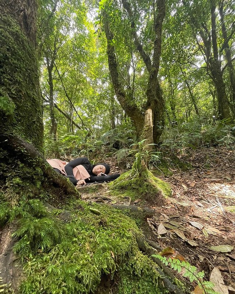 Romantis! Intip Momen Ammar Zoni dan Irish Bella Naik Gunung Bareng Ammar Zoni dan Irish Bella baru-baru ini mendaki gunung berdua yaitu Gede Pangrango. Yuk kita intip momen romantis mereka!
