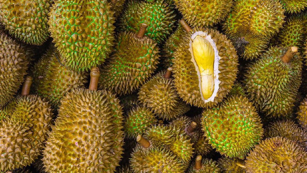 Ada Paket All-You-Can-Eat Durian di Hotel-Hotel Ini, Mau Coba?