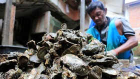Foto: Kerupuk Tiram Aceh Melenggang ke Pasar Nusantara