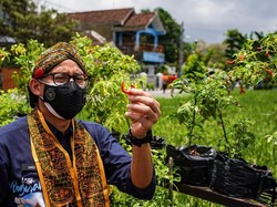 Durasi Karantina Turis Asing Dipersingkat, Apa Alasannya?