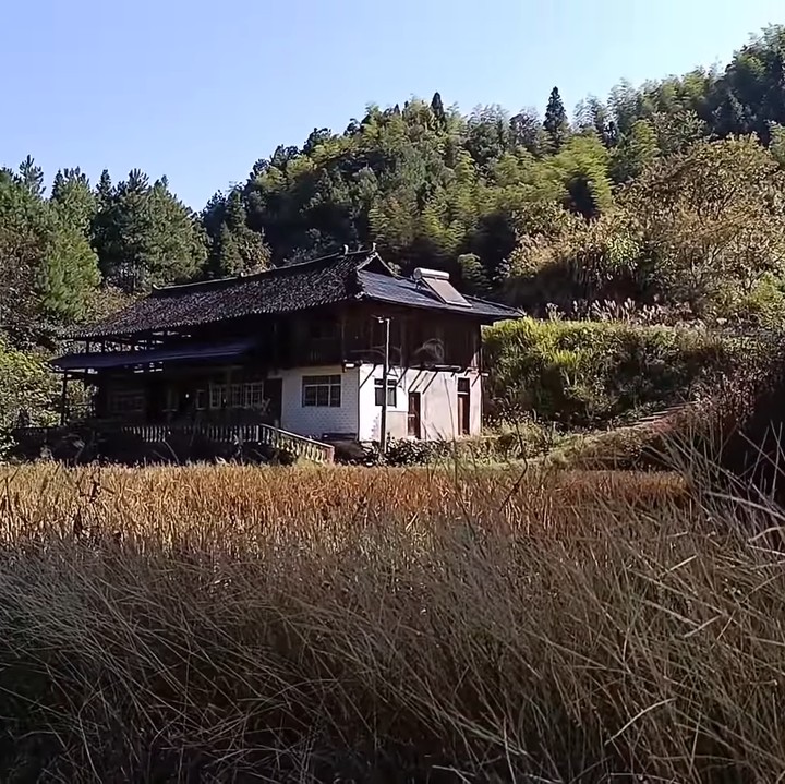 <p>Karena sudah lama tak ditempati, rumah tersebut sudah dipenuhi oleh tanaman rambat dan ilalang. Mereka akan merenovasi rumah tersebut agar layak dihuni kembali. (Foto: YouTube Daily Tika Weixun di China.)</p>