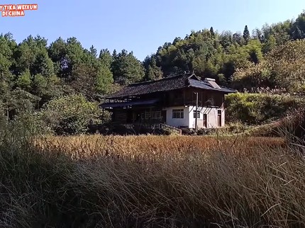 Susuri Hutan Dahulu Baru Sampai, Intip 7 Foto Rumah Wanita RI & Pria China