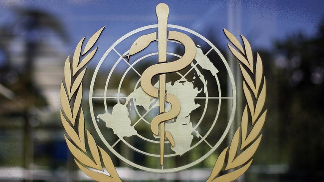 WHO Beri Warning Baru Mewabahnya Virus Hantavirus, Katakan Ini