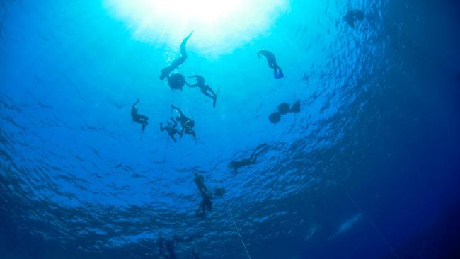 Meski mendapat sebutan sebagai "spot menyelam paling berbahaya di dunia", Blue Hole tetap ramai dikunjungi penyelam di dunia yang penasaran.