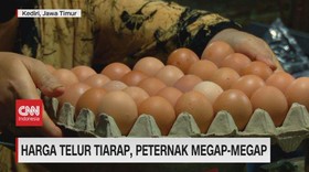 VIDEO: Harga Telur Tiarap, Peternak Megap-Megap