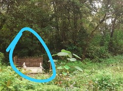 Muncul Makam Misterius di Jalur TWA Kawah Ijen, Petilasan Raja Bali?