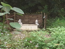 Muncul Makam Misterius Diduga Kramat di Jalur Kawah Ijen Banyuwangi
