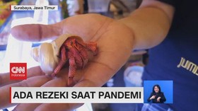 VIDEO: Ada Rezeki Saat Pandemi