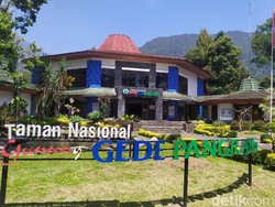 Cianjur PPKM Level 3, Pendakian Gunung Gede Pangrango Kembali Ditutup