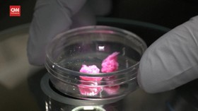 VIDEO: Proses Pembuatan Wagyu dari Printer 3D
